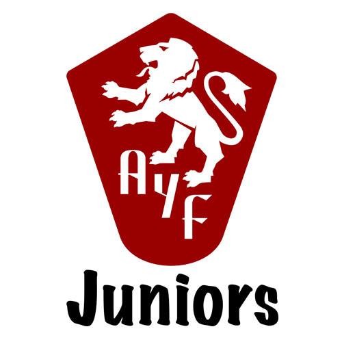 Armenian Speaking Nonprofits Near Me - Armenian Youth Federation Juniors