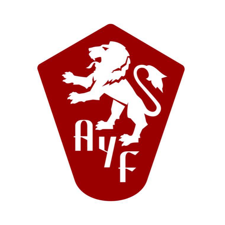 Armenian Speaking Nonprofits Near Me - The Armenian Youth Federation Western USA